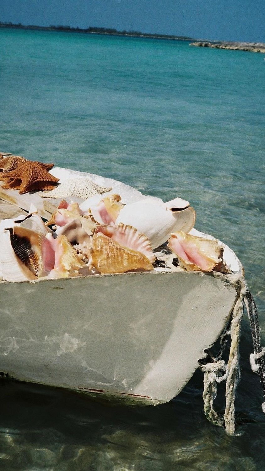 When two cuties collide @jenamsims x @diffeyewear 😎