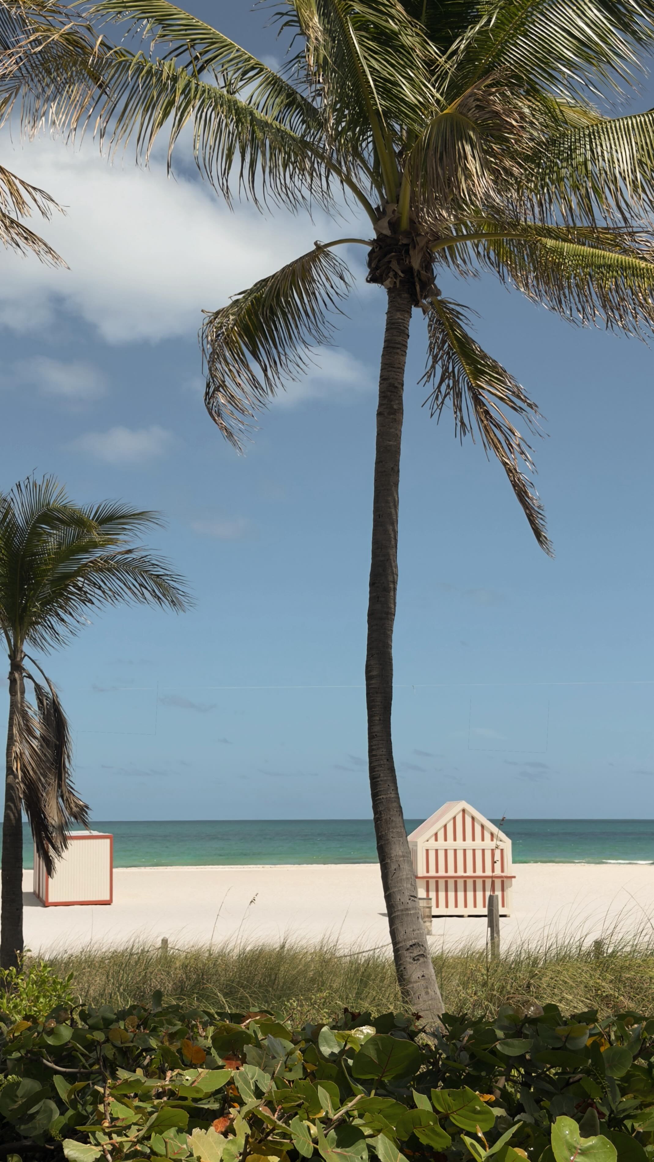 Don’t worry! This is what I wore to go get our deck color matched now that the railings are able to be painted! Who wants to come over for a tanning & paint party 😬👙🌞