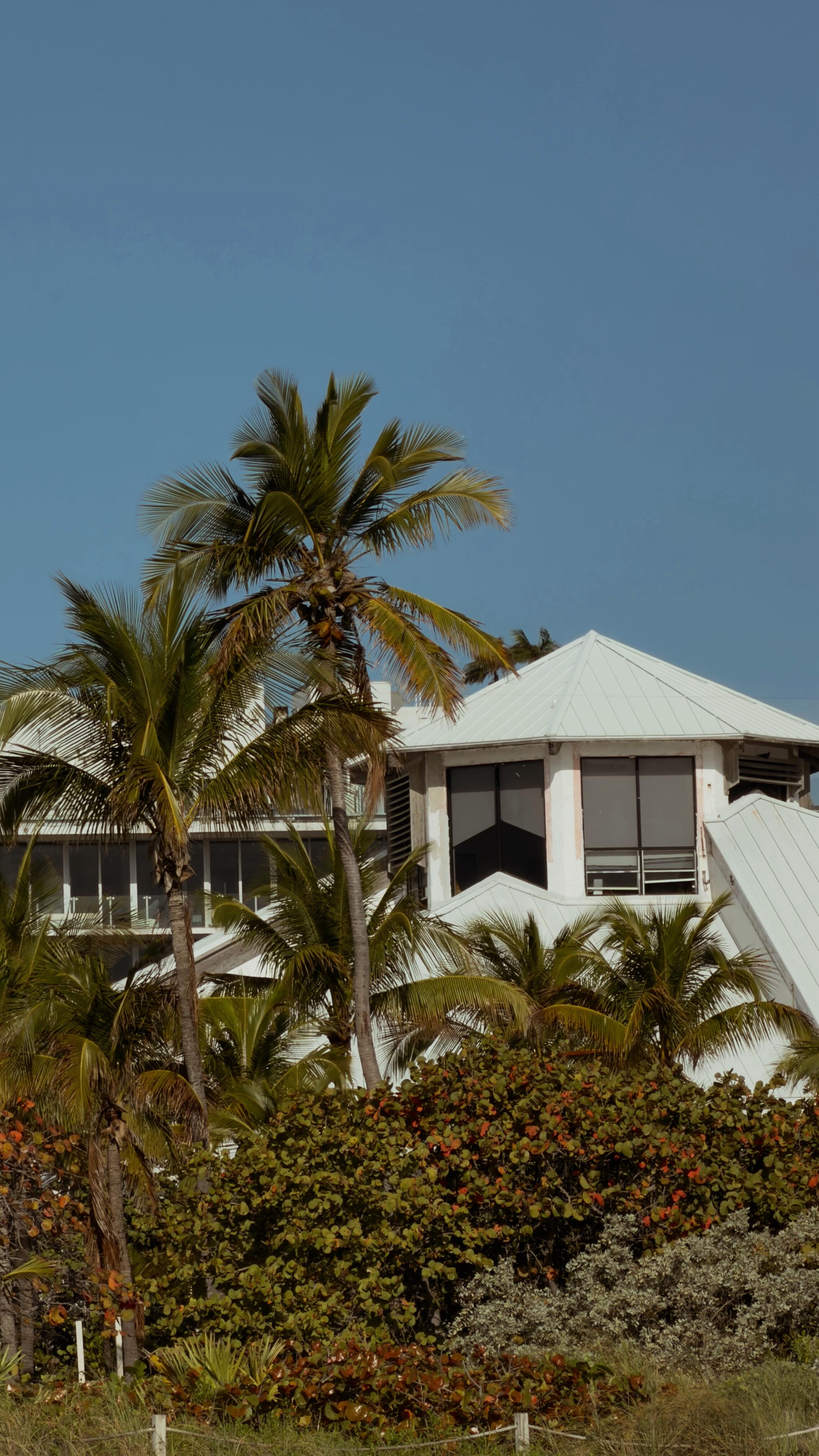 Are you a faux freckle girl?! I think they’re sooo cute & I’ve been a OG @freck stan so here are some of my recent picks☀️Comment SHOP for links, xx. 

https://liketk.it/613vr