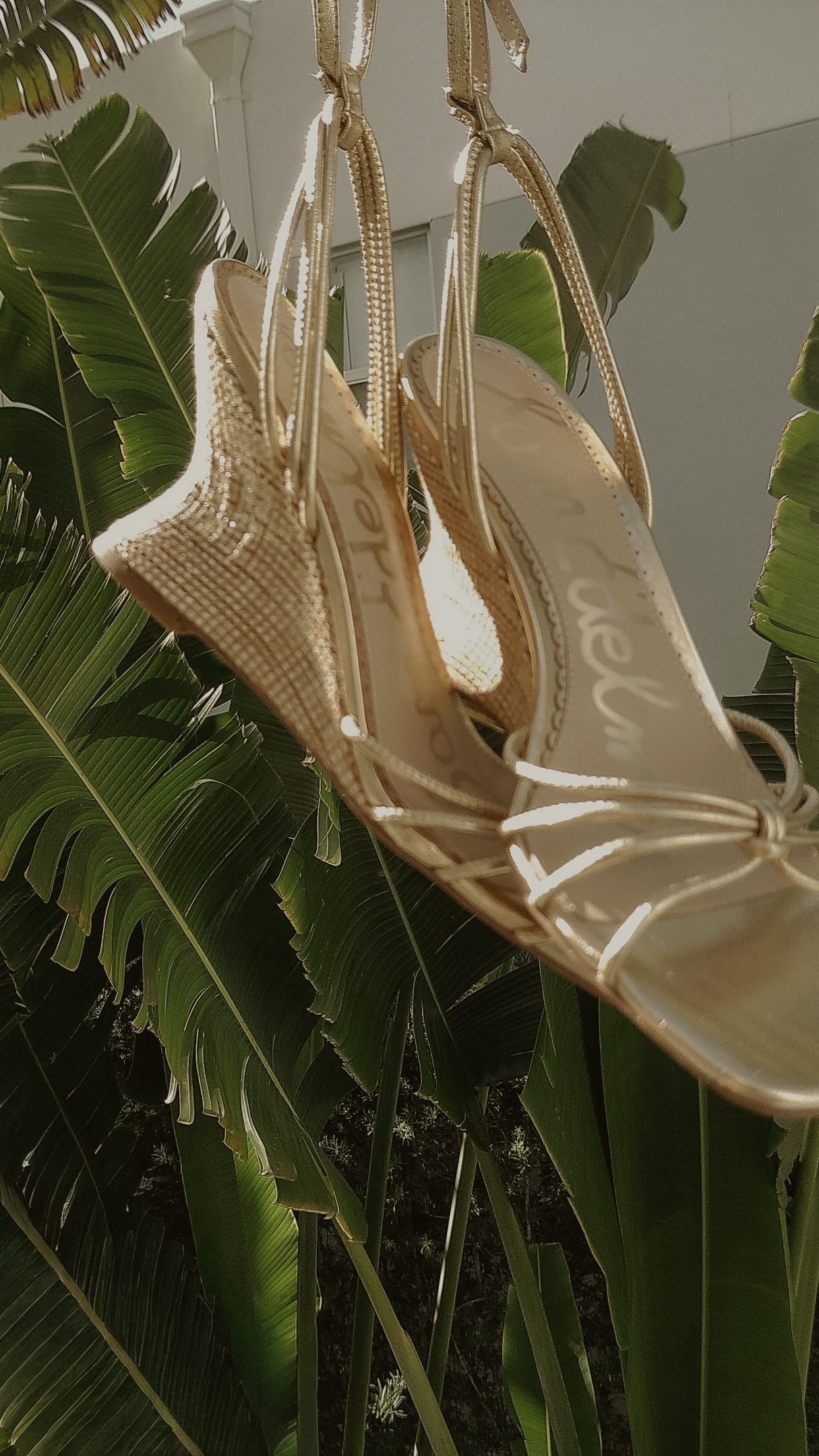Perfect Island Evening Shoe: Secured ✔️✨🌴 Comment SHOP for the link & if you’re between two sizes, I’d say go up, xx! 

https://liketk.it/6d4Rn